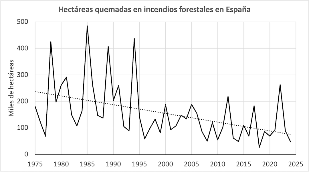 Una bandada de cisnes negros se posa en España
